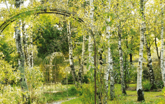 découvrez le jardin des fruneau à bouguenais, un havre de paix et de beauté naturelle. promenez-vous à travers ses allées fleuries, admirez la diversité de ses plantes et profitez d'un cadre idéal pour des moments en famille ou entre amis. une expérience unique au cœur de la nature.