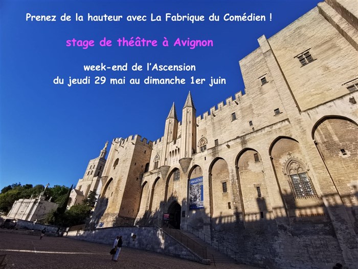 découvrez les charmes d'avignon lors d'un week-end inoubliable. explorez ses monuments historiques, flânez sur le célèbre pont saint-bénézet et dégustez la délicieuse cuisine locale. une escapade idéale pour les amoureux de la culture et de la gastronomie.