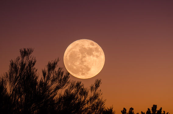 découvrez les énergies de la pleine lune en verseau : une période propice à l'innovation, à la créativité et à l'émancipation. apprenez comment cette lune influence vos émotions et vos projets et comment en tirer parti pour votre développement personnel.
