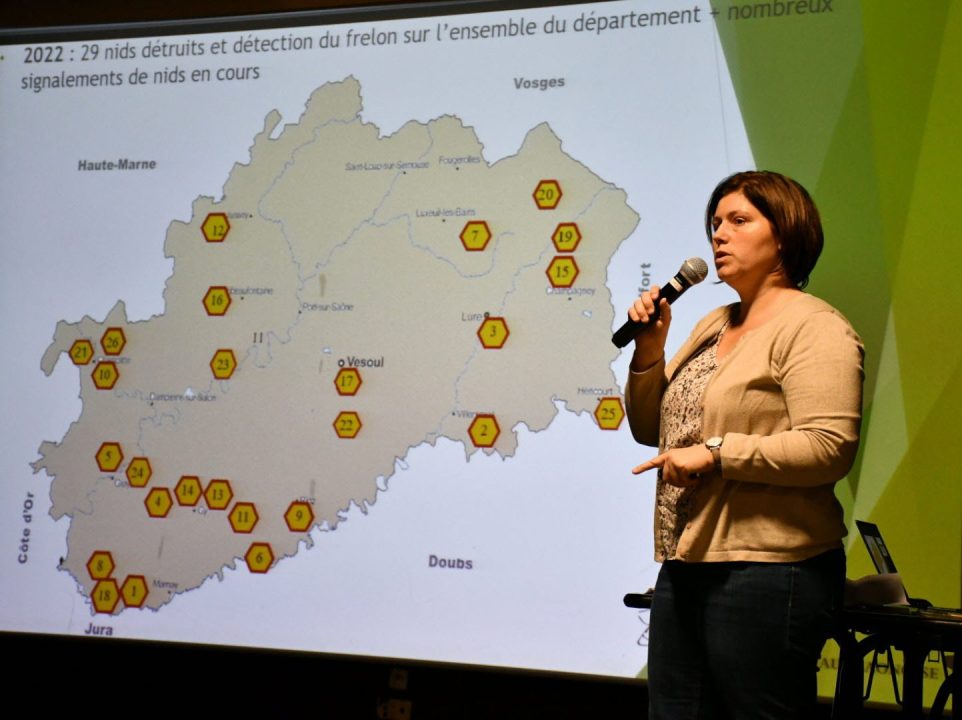 découvrez toutes les actualités et informations sur les unions en haute-saône : mariages, célébrations et démarches administratives dans votre département.