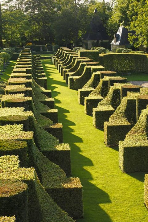 découvrez comment transformer votre espace vert en un jardin exceptionnel grâce à nos conseils, idées d’aménagement et inspirations pour tous les passionnés de nature.