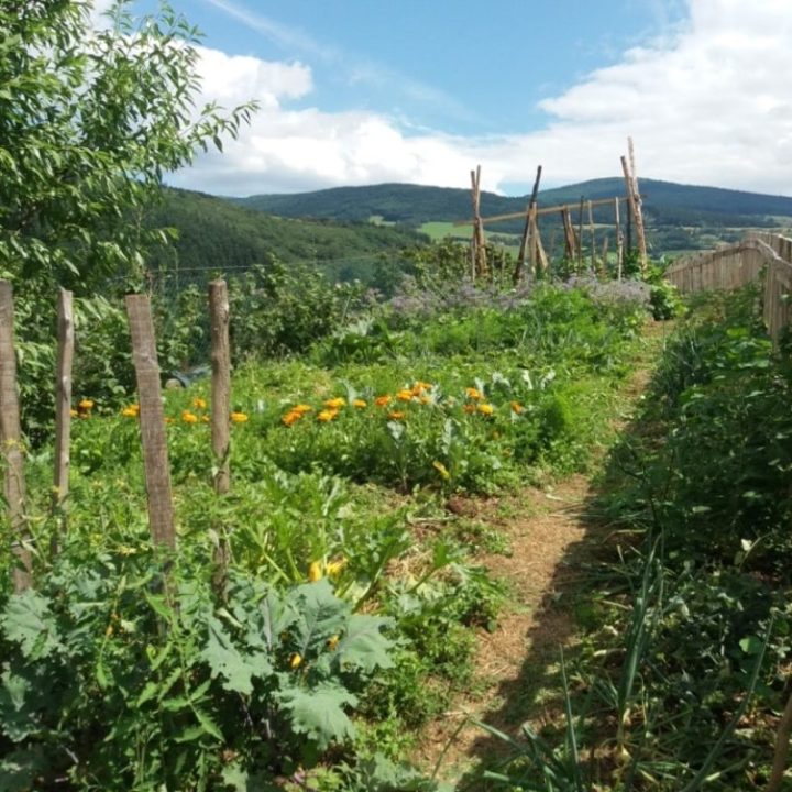 profitez d’un week-end authentique à la ferme de beylacq : détente, découverte de la vie rurale et produits locaux vous attendent pour une escapade nature inoubliable.