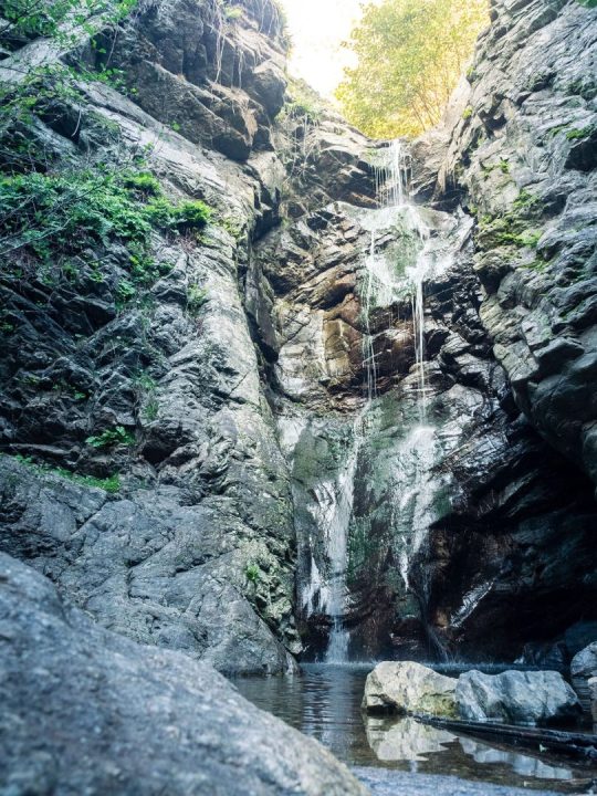 découvrez comment les faucons protègent la cascade du pilat, un spectacle naturel alliant beauté et préservation de la biodiversité.