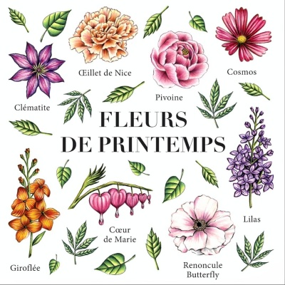 découvrez notre calendrier des fleurs de saison et explorez des alternatives locales pour embellir votre jardin tout au long de l'année.