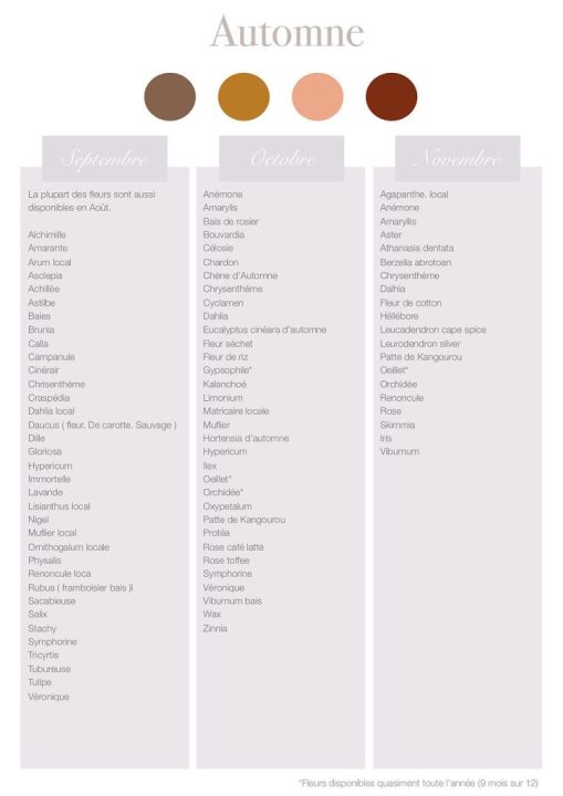 découvrez notre calendrier des fleurs de saison et explorez des alternatives locales pour des bouquets frais et respectueux de l'environnement toute l'année.
