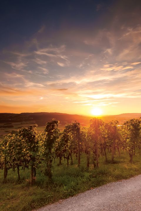 découvrez 3 itinéraires clés pour des week-ends romantiques inoubliables en suisse romande, alliant charme, nature et moments précieux à deux.